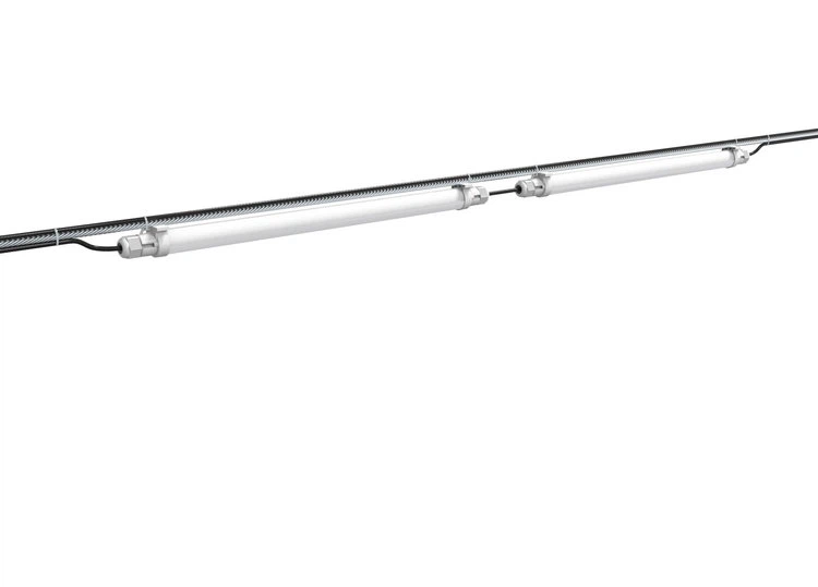 broiler chicken lighting programs -