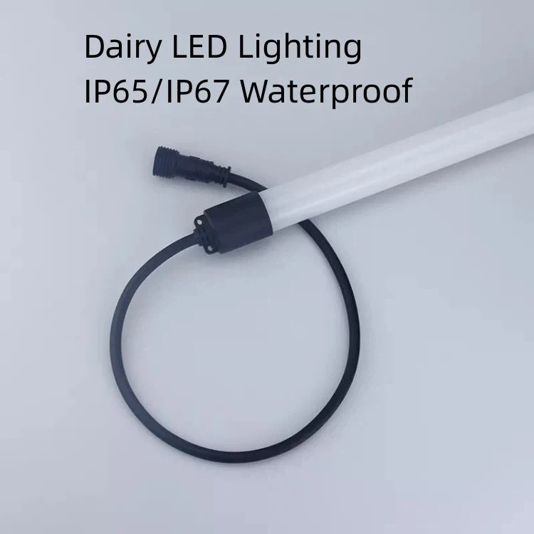 cow shed light