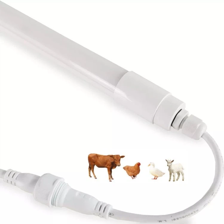 cow-shed-lighting