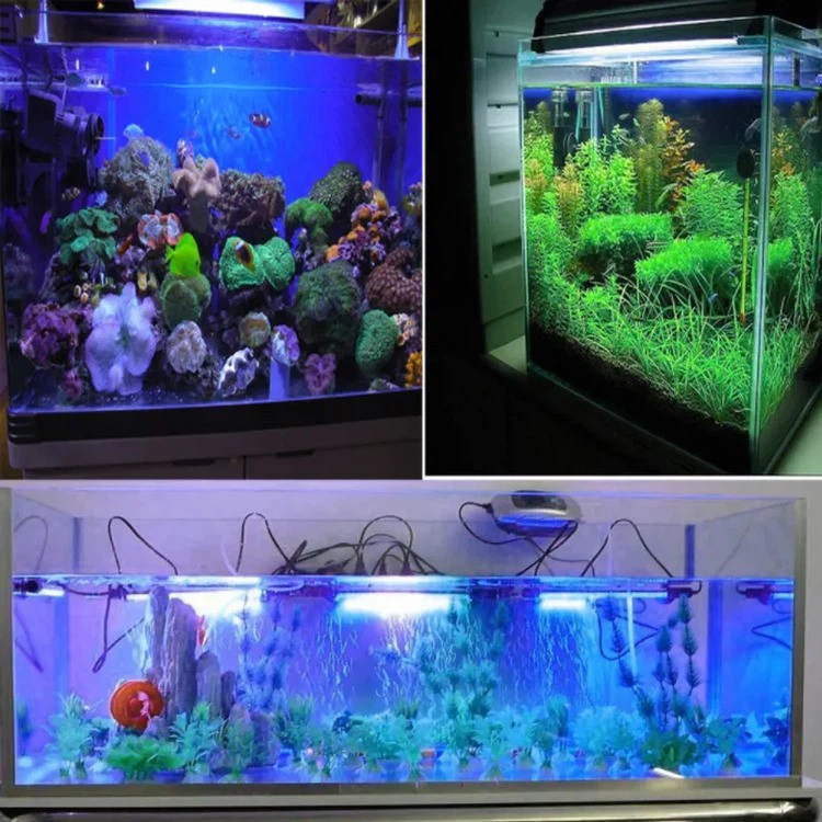 led tube for marine5