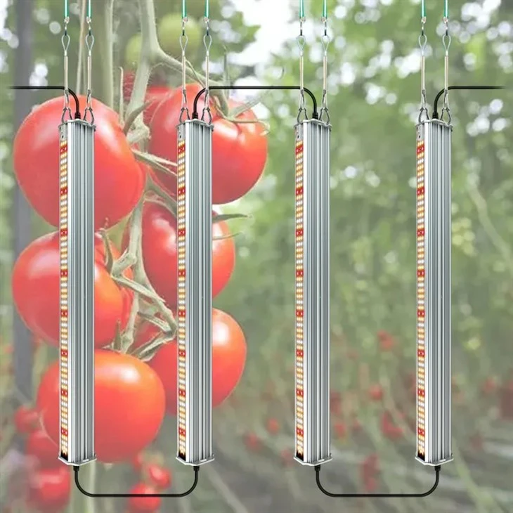 Full Spectrum Integrated Tomato Growing Lights