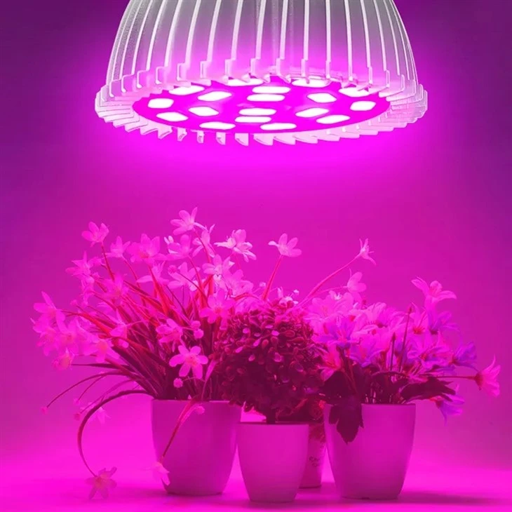 Plant Light Bulbs For Indoor Plant