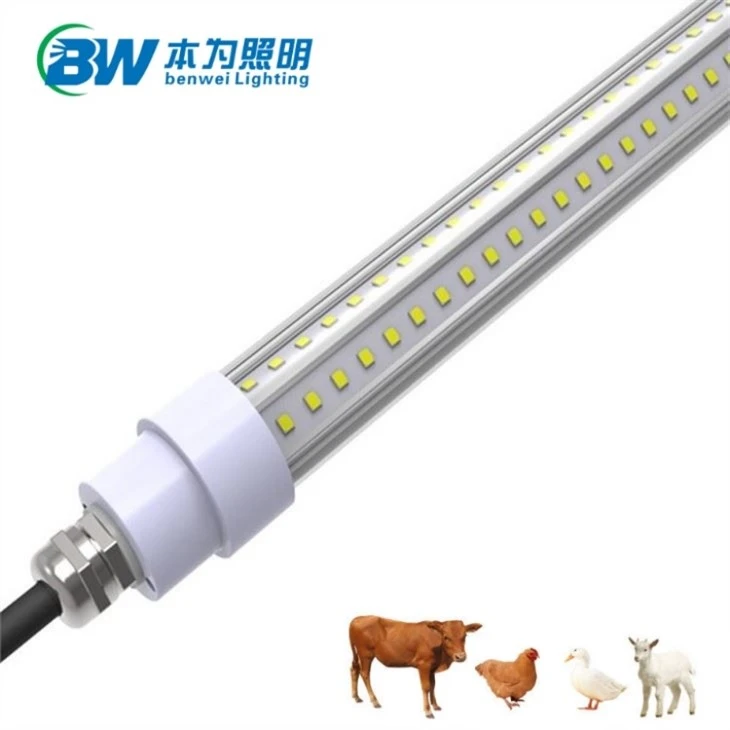 Chicken Light With 0-12V 5100K 30W 20W