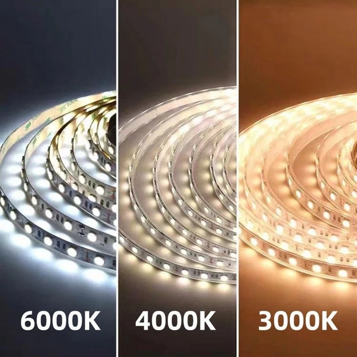 Indoor Outdoor RGB SMD LED Strip Light best