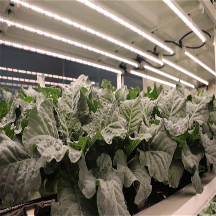 grow led tube installation 2 grow led tube installation 2