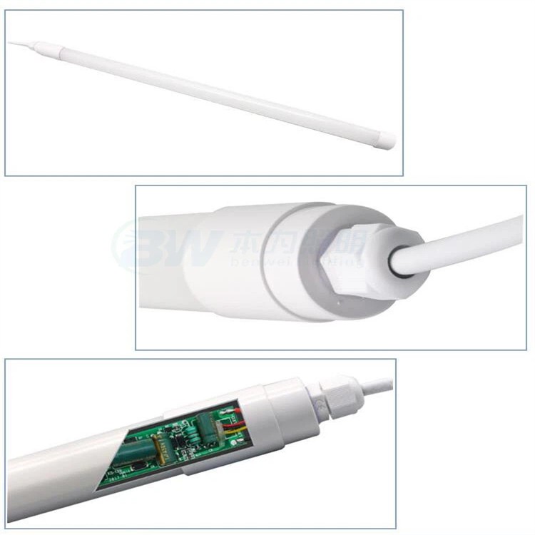 Chicken Barn Lighting 2