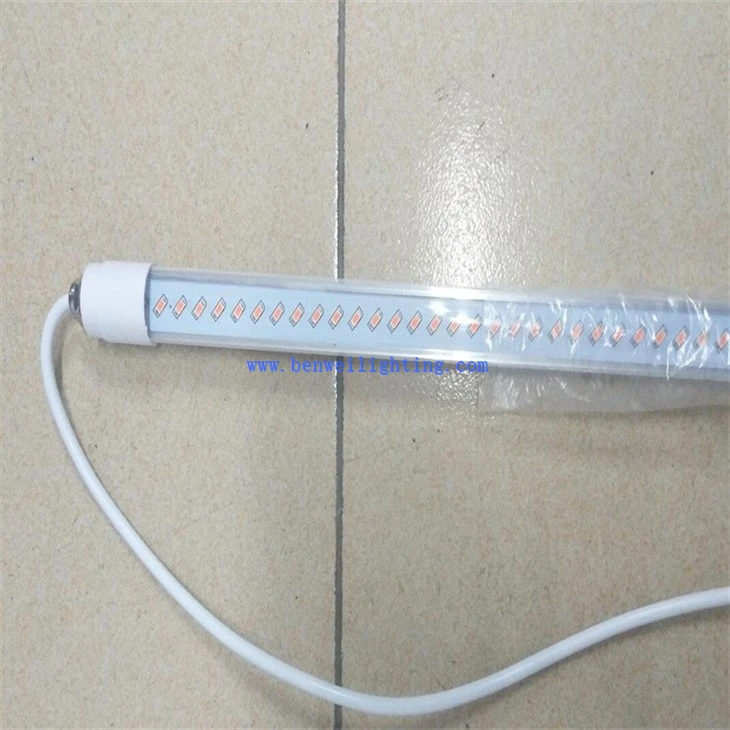 Integrated poultry light (5)