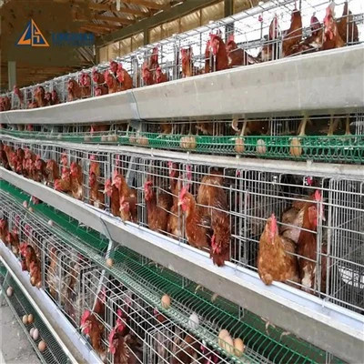 0-10V Dimmable AC85-265}V Poultry Light