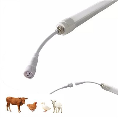 Ranch Poultry Light